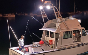 How To Raise Bait With LED Boat Lights